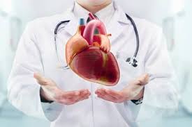 cardiologista em BH