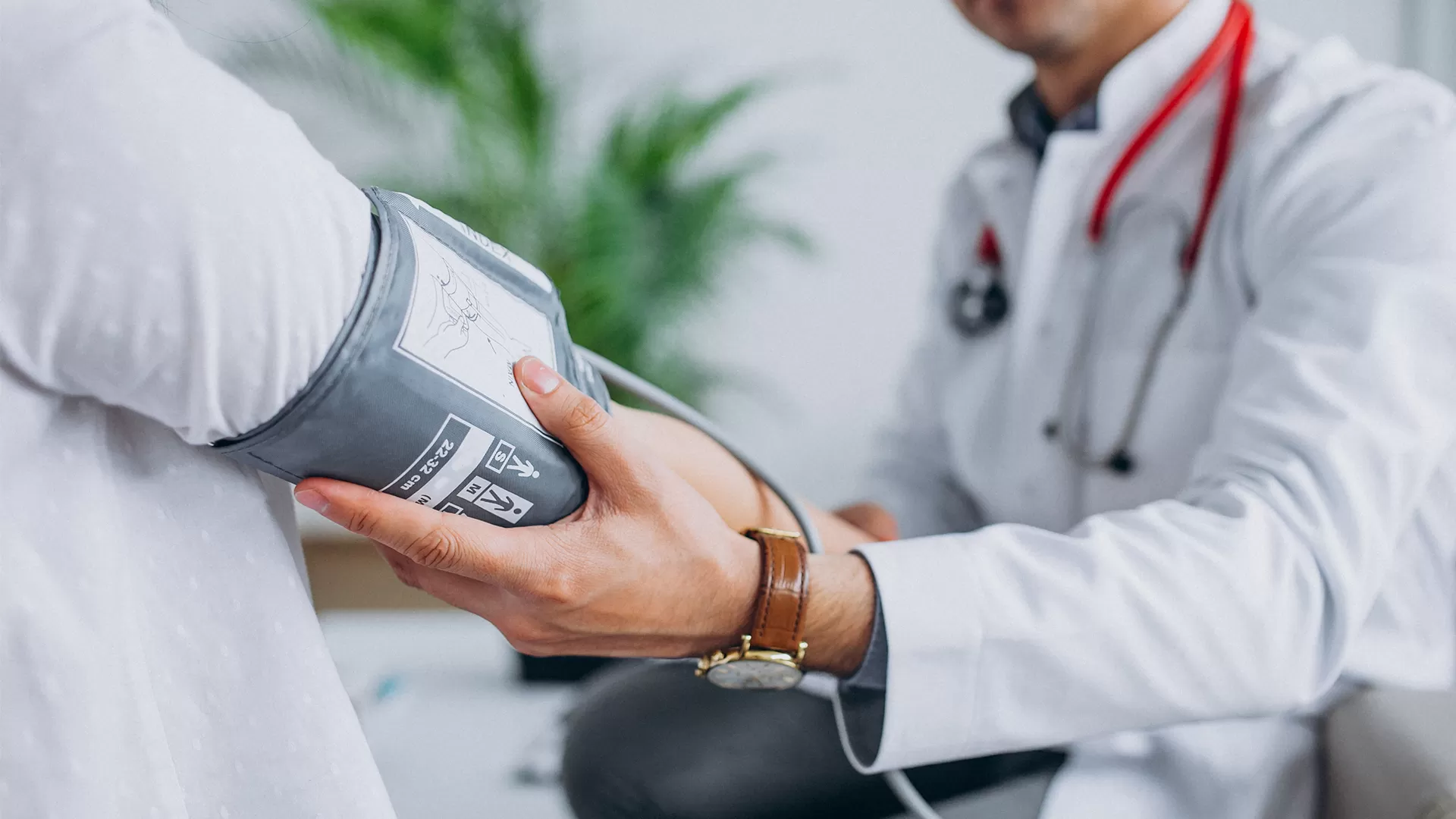 Check-up