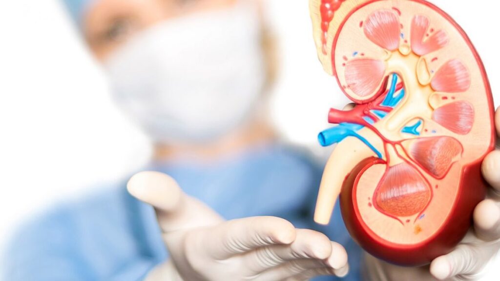 A Importância do Exame de Próstata: Desvendando Mitos e Promovendo a Saúde Masculina